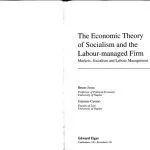 خرید و دانلود نسخه کامل کتاب The Economic Theory of Socialism and the Labour-Managed Firm