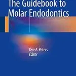 خرید و دانلود نسخه کامل کتاب The Guidebook to Molar Endodontics