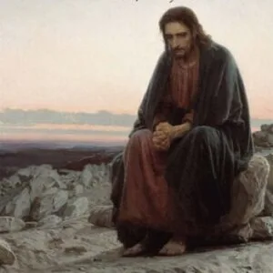 خرید و دانلود نسخه کامل کتاب The Homeless Jesus in the Gospel of Matthew