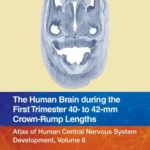 خرید و دانلود نسخه کامل کتاب 
The Human Brain during the First Trimester 40- to 42-mm Crown-Rump Lengths