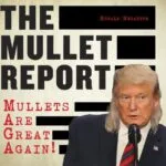 خرید و دانلود نسخه کامل کتاب The Mullet Report: Mullets Are Great Again!