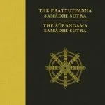 خرید و دانلود نسخه کامل کتاب The Pratyutpanna Sutra and The Surangama Samadhi Sutra