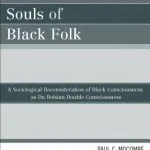 خرید و دانلود نسخه کامل کتاب The Soul-less Souls of Black Folk: A Sociological Reconsideration of Black Consciousness as Du Boisian Double Consciousness