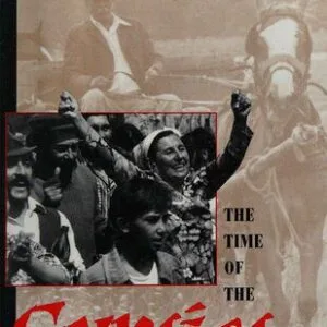 خرید و دانلود نسخه کامل کتاب The Time of the Gypsies