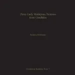 خرید و دانلود نسخه کامل کتاب Three Early Mahāyāna Treatises  from Gandhāra
