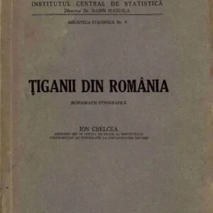 خرید و دانلود نسخه کامل کتاب Țiganii din România