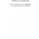 خرید و دانلود نسخه کامل کتاب Tras la justicia