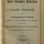 خرید و دانلود نسخه کامل کتاب Über litauisches Volkstum und litauische Volkstracht