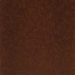 خرید و دانلود نسخه کامل کتاب Unidade anti-imperialista é a base do não-alinhamento