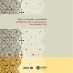 خرید و دانلود نسخه کامل کتاب Valores de los pueblos y nacionalidades indígenas de la Amazonía (Bolivia, Ecuador y Perú)