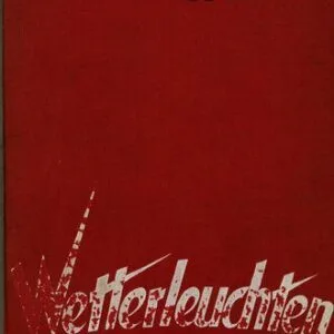 خرید و دانلود نسخه کامل کتاب Wetterleuchten. Zweiter Band »Der Angriff«