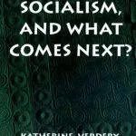 خرید و دانلود نسخه کامل کتاب What Was Socialism, and What Comes Next?