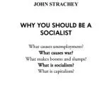 خرید و دانلود نسخه کامل کتاب Why You Should Be a Socialist