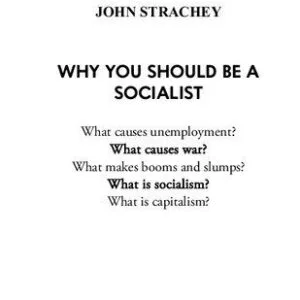 خرید و دانلود نسخه کامل کتاب Why You Should Be a Socialist