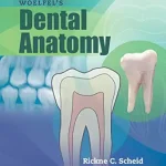خرید و دانلود نسخه کامل کتاب Woelfel's Dental Anatomy, Enhanced Edition