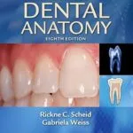 خرید و دانلود نسخه کامل کتاب Woelfel's Dental Anatomy: Its Relevance to Dentistry