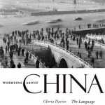 خرید و دانلود نسخه کامل کتاب Worrying about China: The Language of Chinese Critical Inquiry