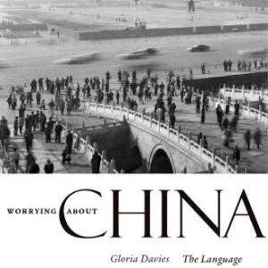 خرید و دانلود نسخه کامل کتاب Worrying about China: The Language of Chinese Critical Inquiry