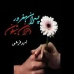 خرید و دانلود نسخه کامل رمان پسران مغرور دختران شیطون اثر امیر فرهی