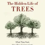 خرید و دانلود نسخه کامل کتاب صوتی انگلیسی زندگی پنهان درختان، اثر پیتر وولبن The Hidden Life of Trees: What They Feel, How They Communicate – Discoveries from a Secret World by Peter Wohlleben