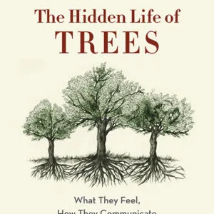 خرید و دانلود نسخه کامل کتاب صوتی انگلیسی زندگی پنهان درختان، اثر پیتر وولبن The Hidden Life of Trees: What They Feel, How They Communicate – Discoveries from a Secret World by Peter Wohlleben