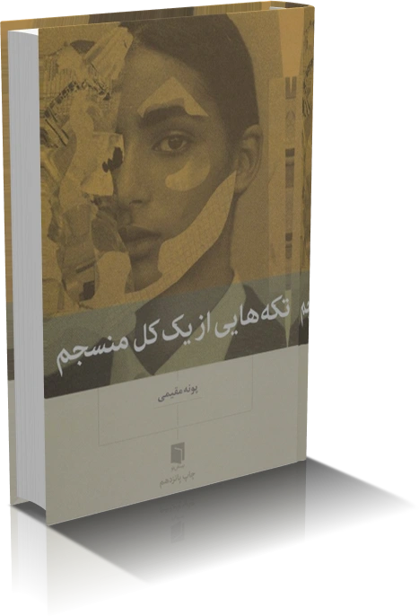 خرید و دانلود نسخه کامل کتاب تکه هایی از یک کل منسجم_6a932e3a89b0b.webp خرید و دانلود نسخه کامل کتاب تکه هایی از یک کل منسجم