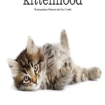 خرید و دانلود نسخه کامل کتاب Kittenhood: Life-size Portraits of Kittens in Their First 12 Weeks