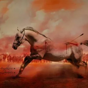خرید و دانلود تصویر اسب امام حسین – تصویر باکیفیت اسب ویژه محرم