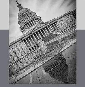 خرید و دانلود نسخه کامل کتاب زبان اصلی Aligning Election Law (Theoretical Perspectives in Law) PDF | دانلود کتاب خارجی
