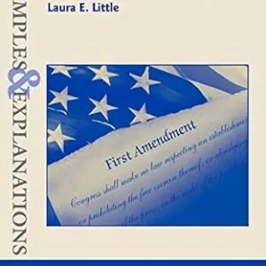 خرید و دانلود نسخه کامل کتاب زبان اصلی Examples and Explanations for First Amendment Law (Examples & Explanations Series) PDF | دانلود کتاب خارجی