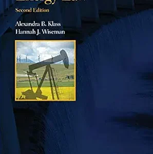 خرید و دانلود نسخه کامل کتاب زبان اصلی Energy Law (Concepts and Insights) PDF | دانلود کتاب خارجی