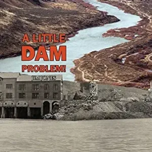 خرید و دانلود نسخه کامل کتاب زبان اصلی A Little Dam Problem: How Idaho Almost Lost Control of the Snake River PDF | دانلود کتاب خارجی