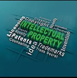 خرید و دانلود نسخه کامل کتاب زبان اصلی Intellectual Property: A Handbook for Startups | دانلود کتاب خارجی