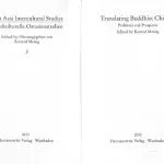 خرید و دانلود نسخه کامل کتاب Translating Buddhist Chinese: problems and prospects
