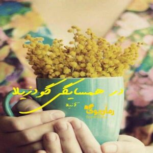 خرید و دانلود نسخه کامل رمان در همسایگی گودزیلا | رمان عاشقانه | رمان بزرگسال | رمان اجتماعی