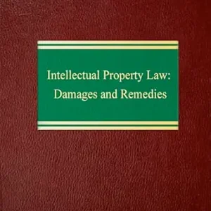 خرید و دانلود نسخه کامل کتاب زبان اصلی Intellectual Property Law: Damages and Remedies (Intellectual Property Series Litigation Series) | دانلود کتاب خارجی