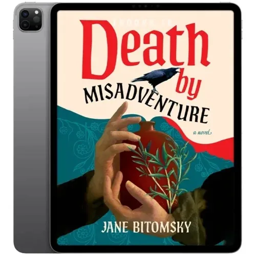 Death-by-Misadventure_-A-Novel-500x500 خرید و دانلود کتاب انگلیسی Death by Misadventure 2026 | کتاب خارجی | کتاب زبان اصلی - تصویر 1